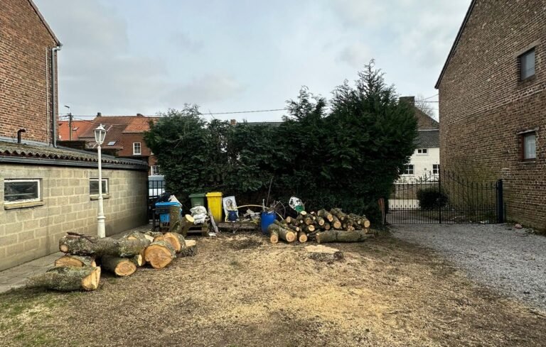 chutte de bois de nl élagage